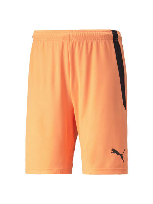Шорты спортивные PUMA Teamliga Shorts модель 704924 Фото