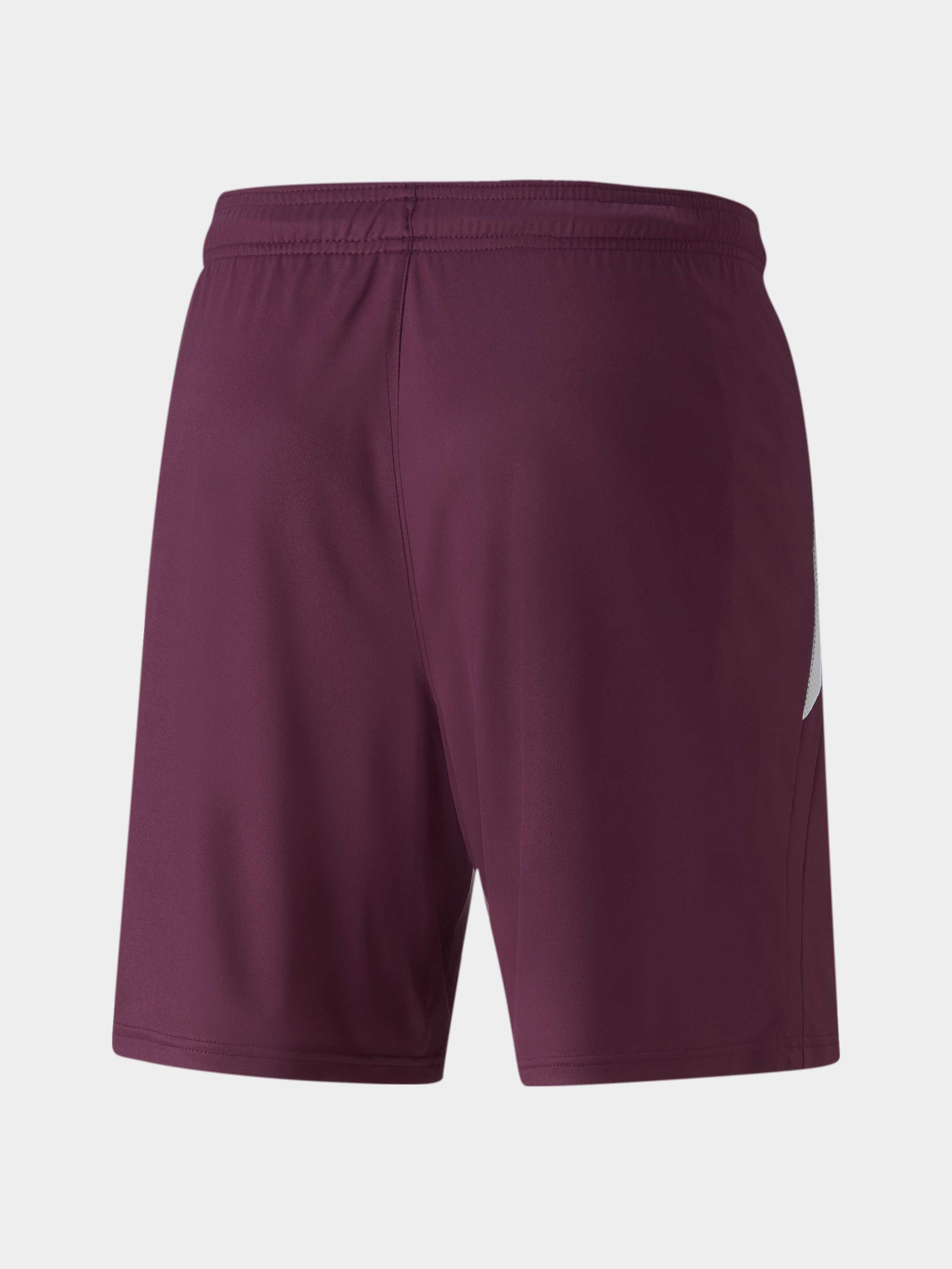 Шорты спортивные PUMA Teamliga Shorts модель 704924 Фото