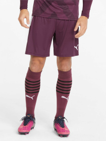 Шорты спортивные PUMA Teamliga Shorts модель 704924 Фото