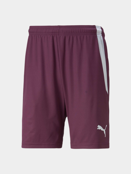 Шорти спортивні PUMA Teamliga Shorts модель 704924 Фото