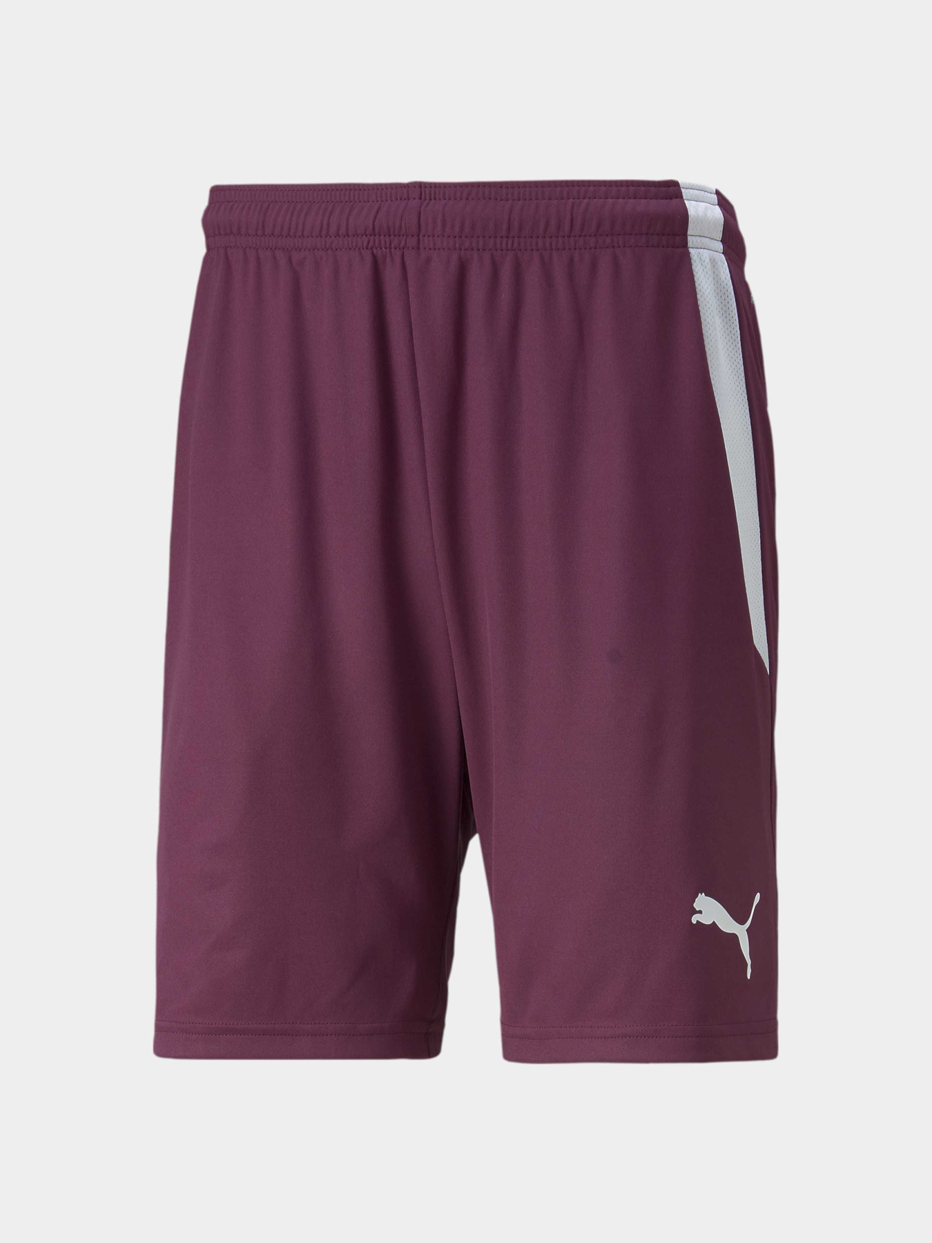 Шорты спортивные PUMA Teamliga Shorts модель 704924 Фото