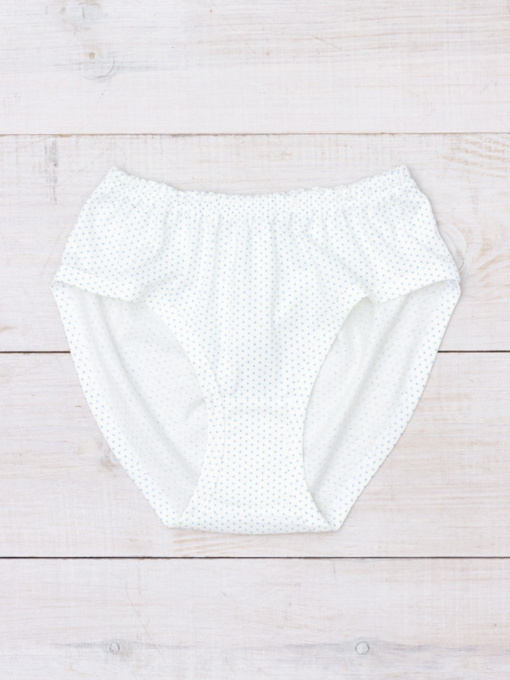 Трусы Носи своє модель 8317-002-goroh-blakitnij Фото