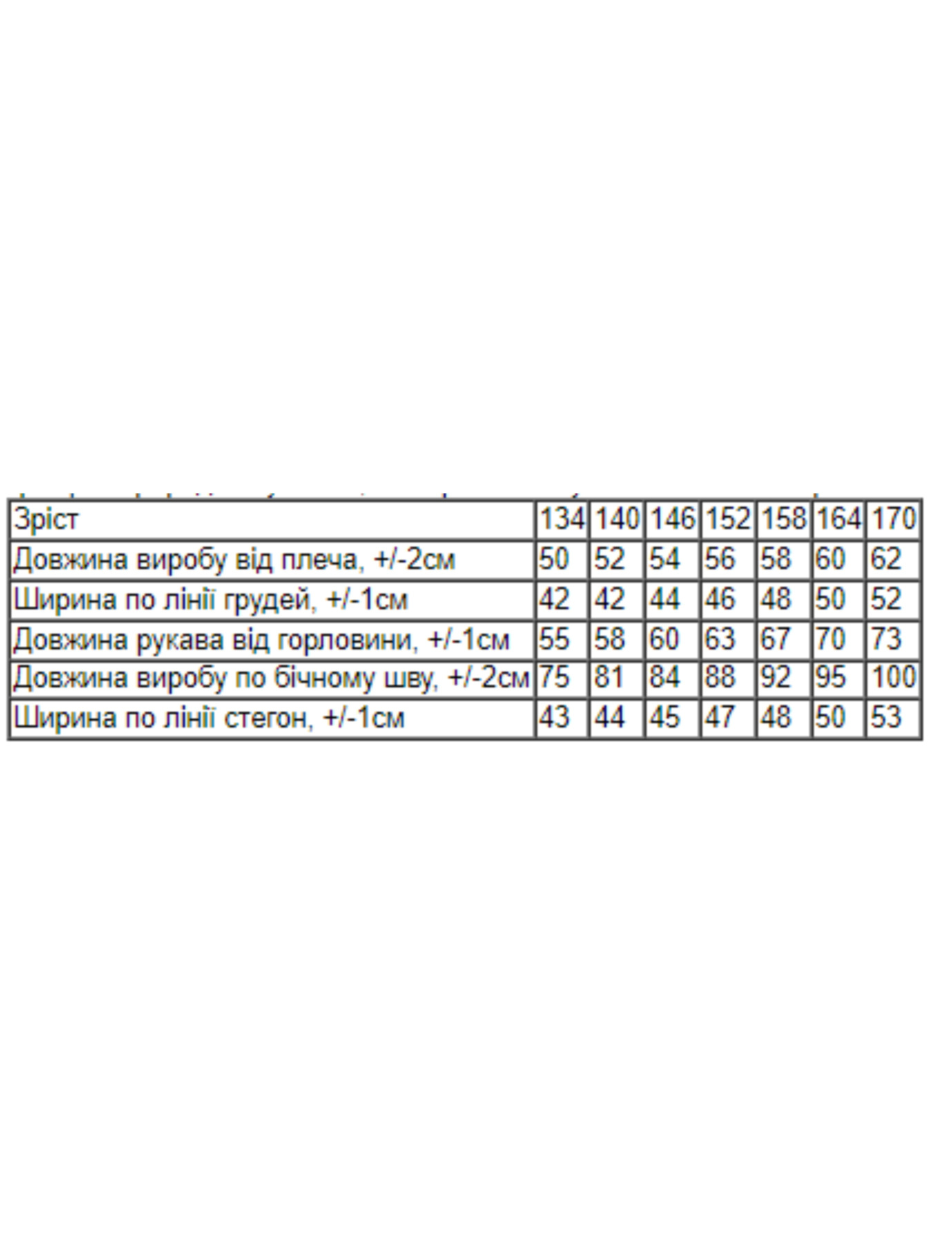 Спортивный костюм Носи своє модель 6362-057-33-sro-blakitnij Фото