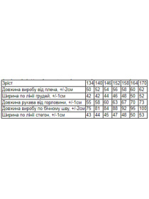 Спортивный костюм Носи своє модель 6362-057-33-sro-blakitnij Фото