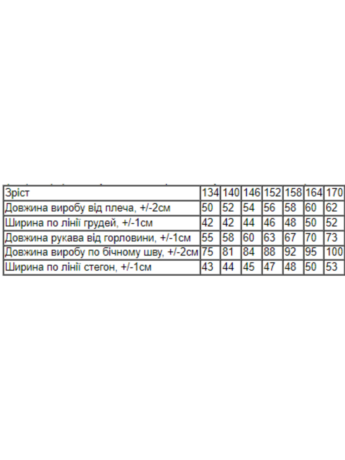 Спортивный костюм Носи своє модель 6362-057-33-nebesno-sinj Фото