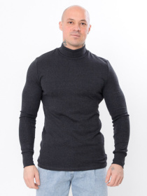 Водолазка Носи своє модель 8095-040-temnij-graft Фото