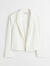 Жакет H&M модель 71987 Фото