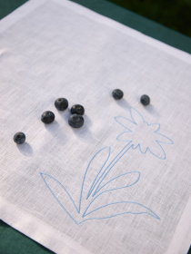 Набір з 2-х столових серветок з льону з машинною вишивкою "Білотка альпійська" GNIZDO Модель LTNMEAWFUC-002 Фото