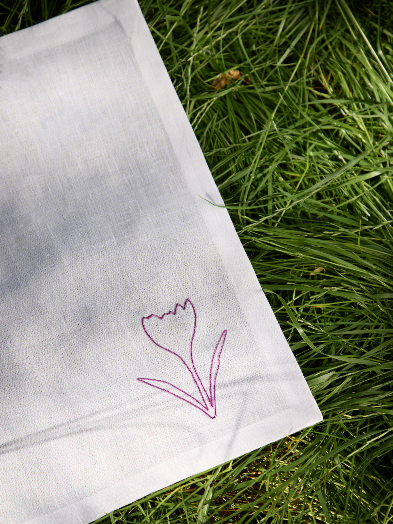 Набір з 2-х столових серветок з льону з машинною вишивкою "Шафран Гейфелів" GNIZDO Модель LTNMESHFUC-002 Фото