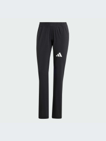Брюки Adidas Clima модель IN2461-KZ Фото
