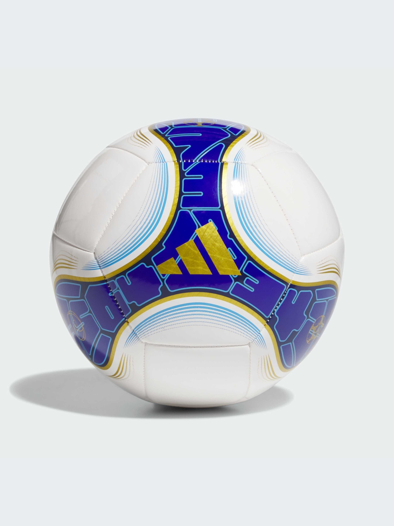 М'ячі Adidas модель IS5597 Фото