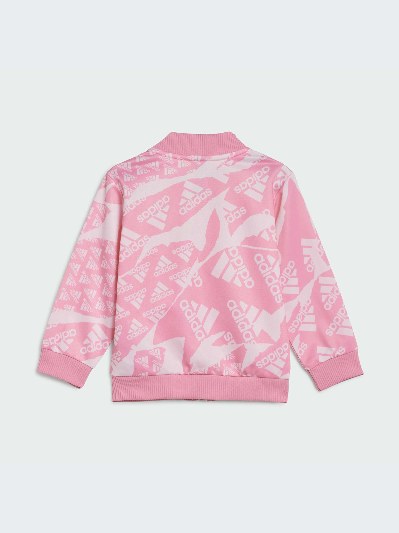 Спортивний костюм Adidas модель IS2563 Спортивний костюм Adidas модель IS2563 Фото