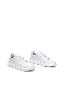 Кеды низкие Alex Bell модель 1171324 Фото