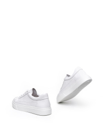 Кеди низькі Alex Bell модель 1171206 Кеди низькі Alex Bell модель 1171206 Фото