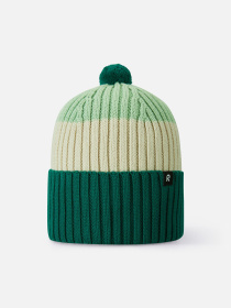 Шапка REIMA PIPAUS Модель 5300270A-89A1 Фото