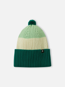 Шапка REIMA PIPAUS модель 5300270A-89A1 Фото