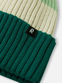 Шапка REIMA PIPAUS модель 5300270A-89A1 Фото