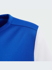 Спортивная футболка Adidas модель DP3217 Фото