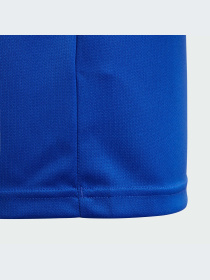 Спортивная футболка Adidas модель DP3217 Фото