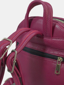 Рюкзак Famk модель 8040 Фото