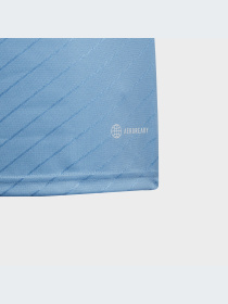 Футболка спортивная Adidas модель IC1242 Фото