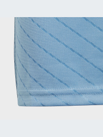 Футболка спортивная Adidas модель IC1242 Фото