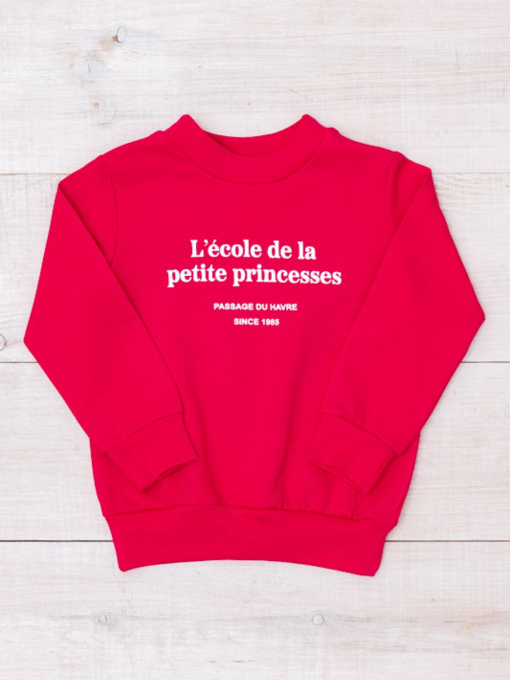 Свитшот Носи своє модель 6069-023-33-5-malinovij Фото