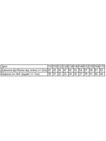 Футболка Носи своє модель 6021-3-chornij-dm Фото