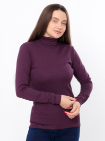 Водолазка Носи своє модель 8047-040-slivovij Водолазка Носи своє модель 8047-040-slivovij Фото