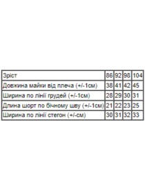 Повседневный костюм Носи своє модель 6202-002-chornilxno-sinj-zrki Фото
