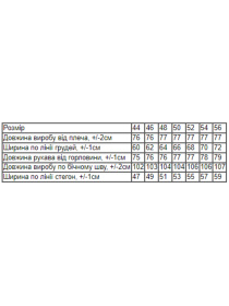 Спортивный костюм Носи своє модель 8376-057-chornij Фото