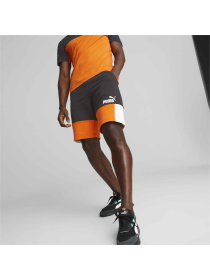 Шорты спортивные PUMA Ess+ Block Shorts модель 847429 Фото