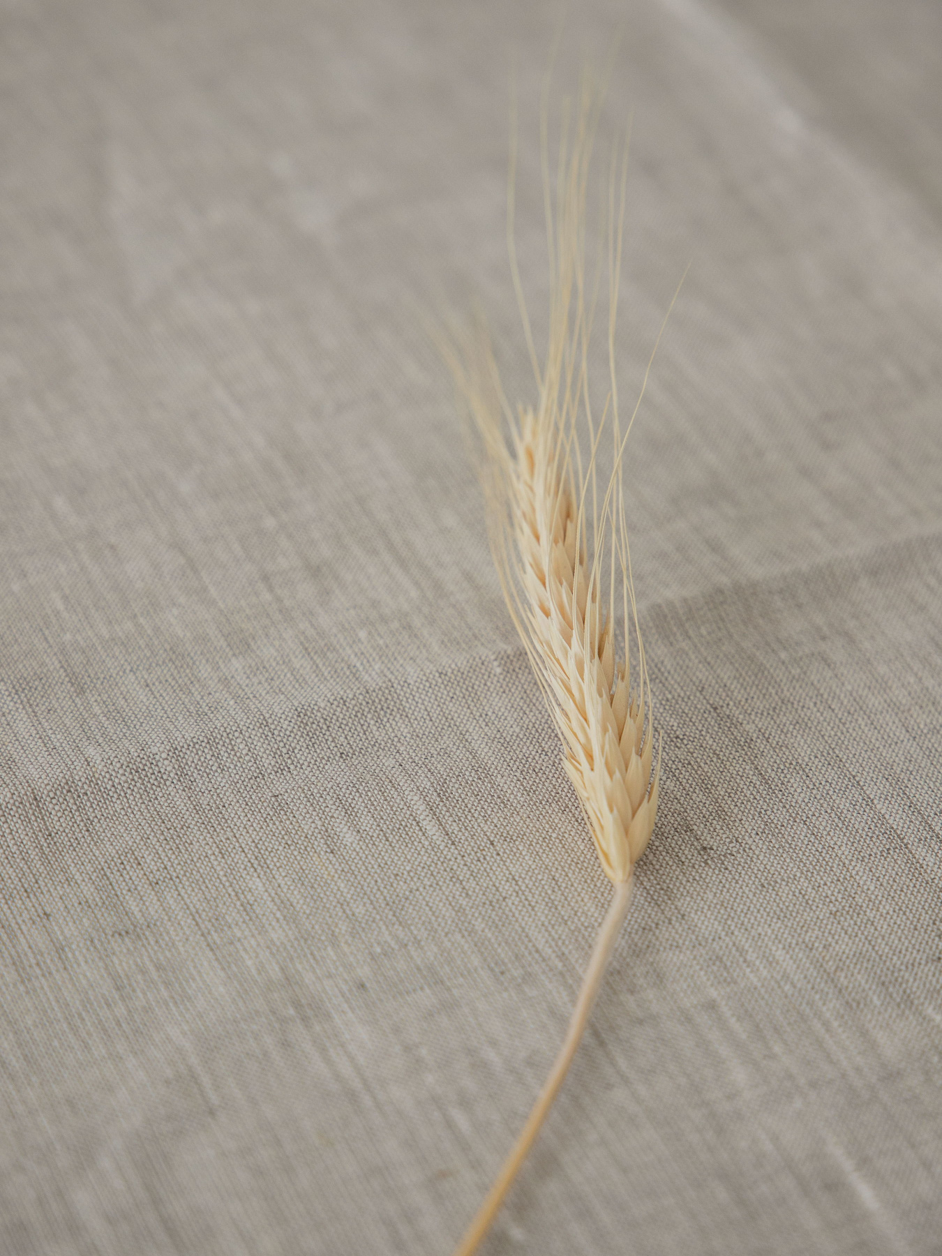 Скатертина з льону однотонна в кольорі "Еко" GNIZDO модель LTMC-001-S Фото