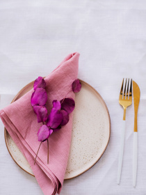 Набір з 2-х столових серветок з льону класичних однотонних в кольорі "Чайна троянда" GNIZDO Модель LCTNMC-019 Фото