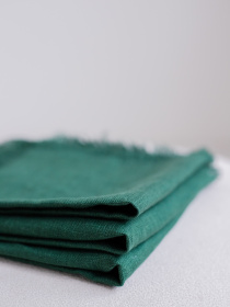 Набір з 2-х столових серветок з льону з бахромою в зеленому кольорі GNIZDO модель LTNFE-014 Фото