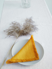 Набір з 2-х столових серветок з льону з бахромою в кольорі "Шафран" GNIZDO Модель LTNFE-011 Фото