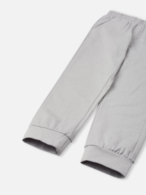 Джоггеры REIMA TUUMI модель 5200121D-9150 Фото