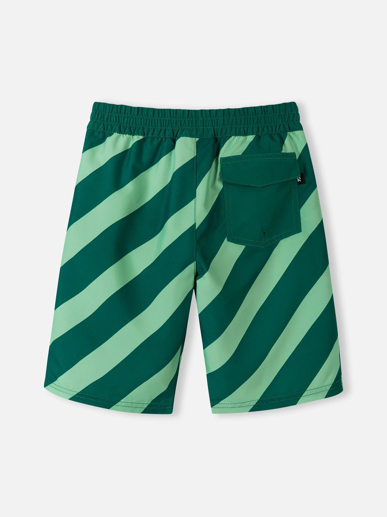 Шорты для плавания REIMA PAPAIJA модель 5200155B-89A1 Фото