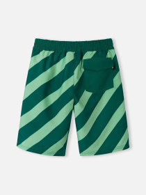 Шорты для плавания REIMA PAPAIJA модель 5200155B-89A1 Фото