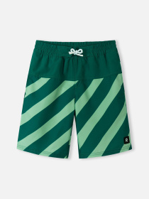 Шорты для плавания REIMA PAPAIJA модель 5200155B-89A1 Фото