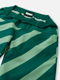 Шорты для плавания REIMA PAPAIJA модель 5200155B-89A1 Фото