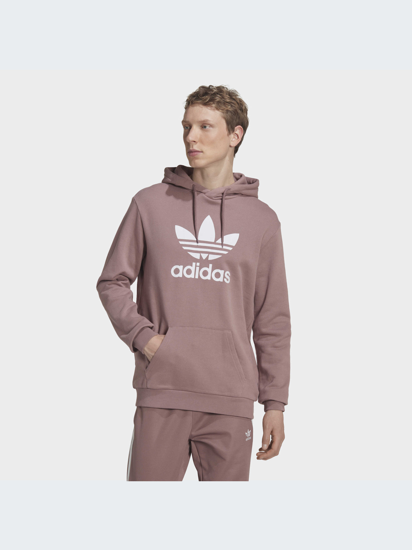 Худи и свитшоты Adidas Adicolor модель HM9325 Фото