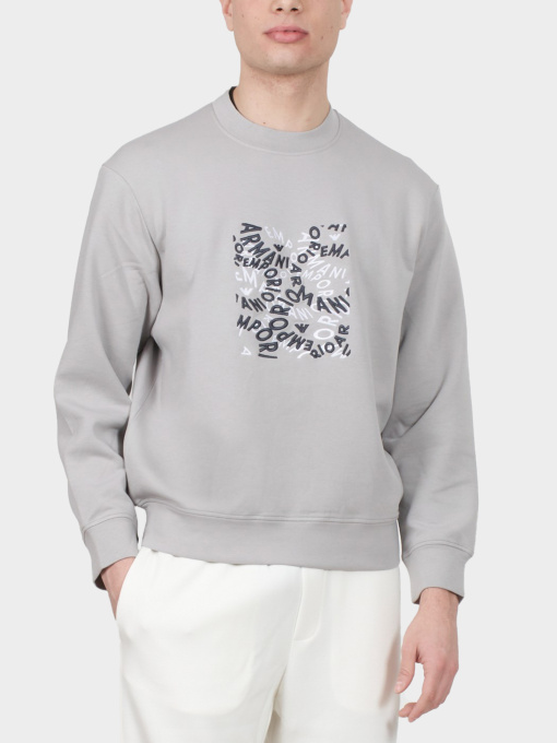 Худи и свитшоты Emporio Armani модель 3D1M70-1JHSZ-06I3 Фото