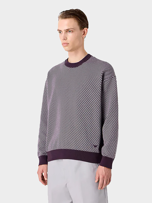 Худи и свитшоты Emporio Armani модель 3D1MXP-1MPNZ-F815 Фото