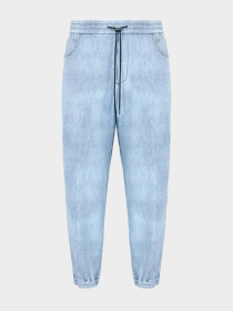 Брюки Emporio Armani модель 3D1PM1-1JWPZ-F917 Фото