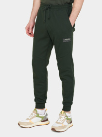 Штаны спортивные Lotto ATHLETICA DUE V PANT модель 217632_09R Фото