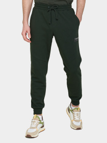 Штаны спортивные Lotto ATHLETICA DUE V PANT модель 217632_09R Фото