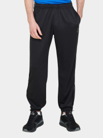 Штаны спортивные Lotto MSP PANT II модель 218939_1CL Фото