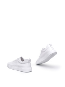 Кеды низкие Alex Bell модель 1171433 Фото