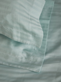 Комплект постільної білизни зі страйп-сатину в м'ятному кольорі B.D.S.M. модель SBCPKBSRP09 Фото